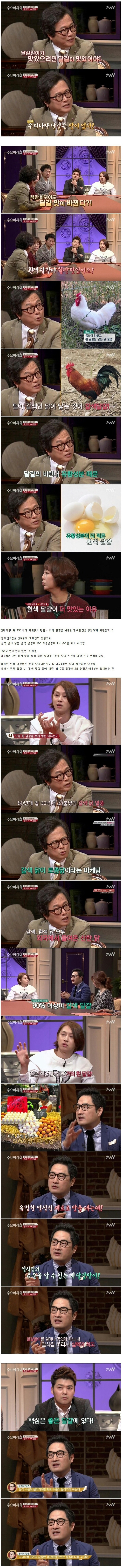 한국의 계란말이가 맛 없는 이유 | 인스티즈