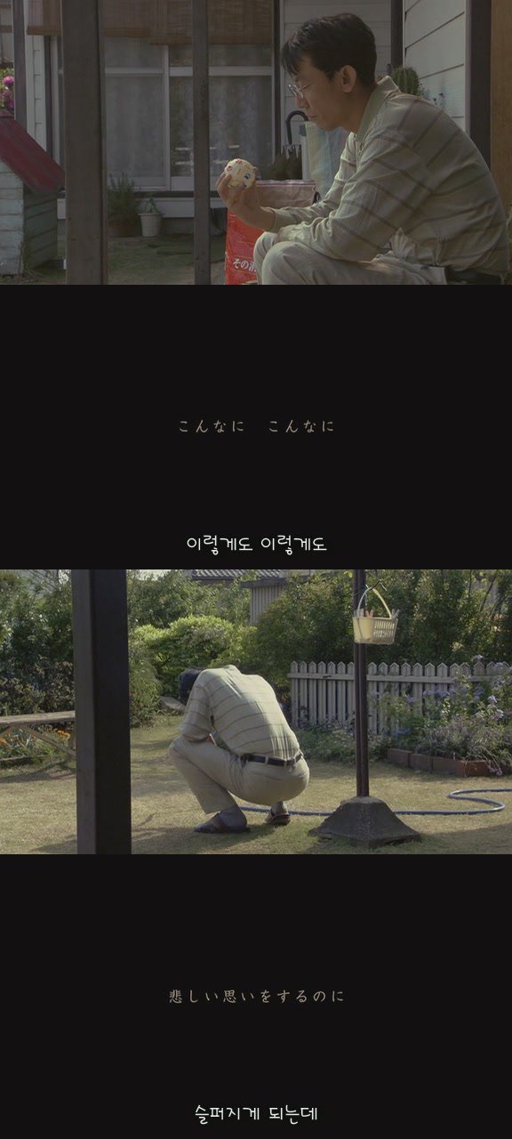 있잖아 마리모, 나 다시 개를 기르고 싶어 (마리모이야기) | 인스티즈