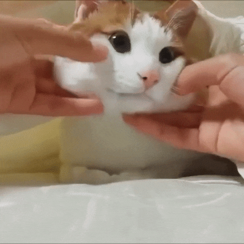 볼살을 조물딱 조물딱.gif | 인스티즈
