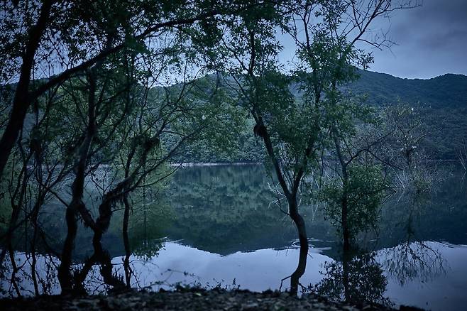 충남 예산군 저수지에 들어간 촬영팀이 빠져나오지 못한 이유 | 인스티즈
