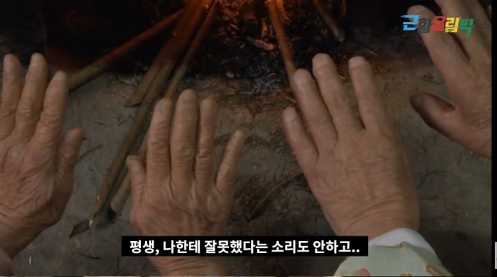 '님아 그 강을 건너지 마오' 이후 강계열 할머니 근황 | 인스티즈