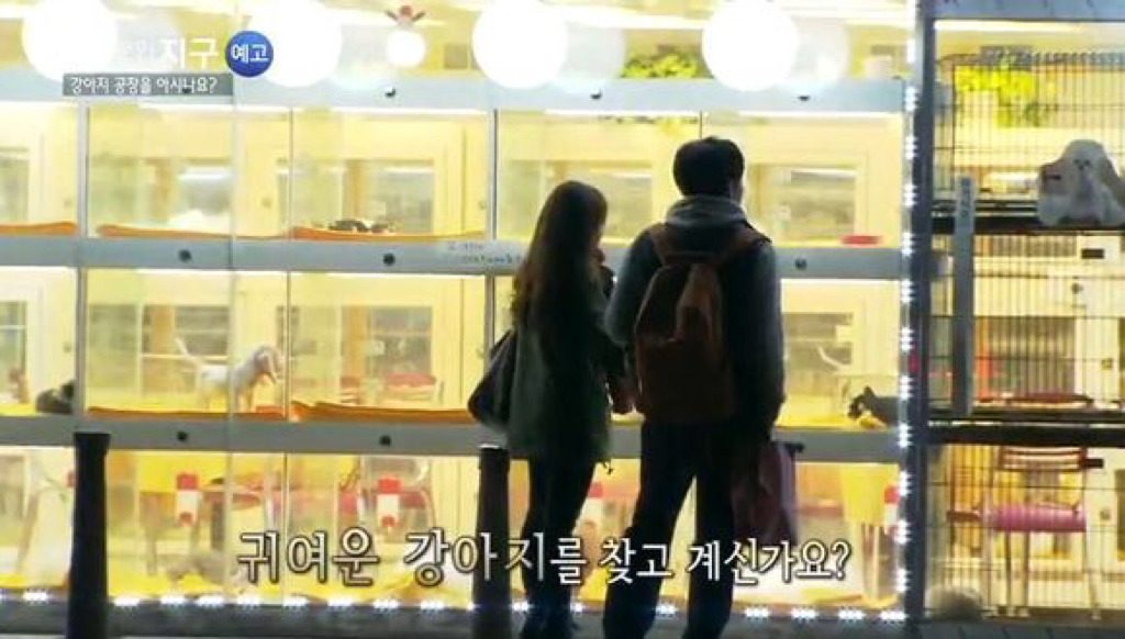연예인들도 많이 하고 일반인들도 많이 하는데 사실상 욕 먹어도 할말 없는 행동.JPG | 인스티즈