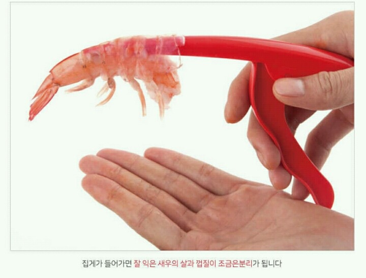 꼭 갖고 싶은 아이템 | 인스티즈