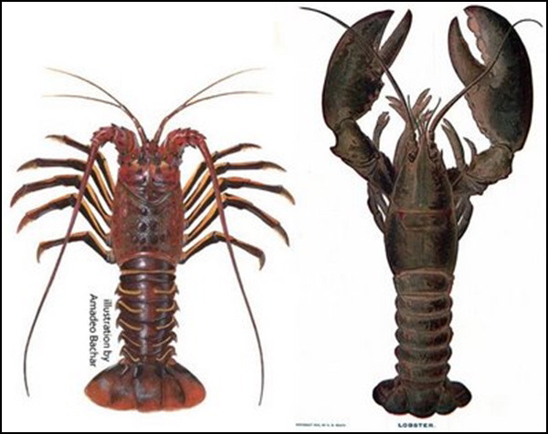 징그러워서 죄수들이나 먹던 음식 | 인스티즈