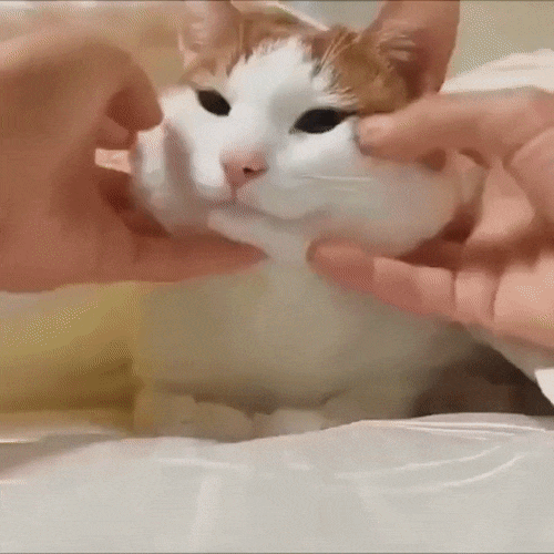 볼살을 조물딱 조물딱.gif | 인스티즈