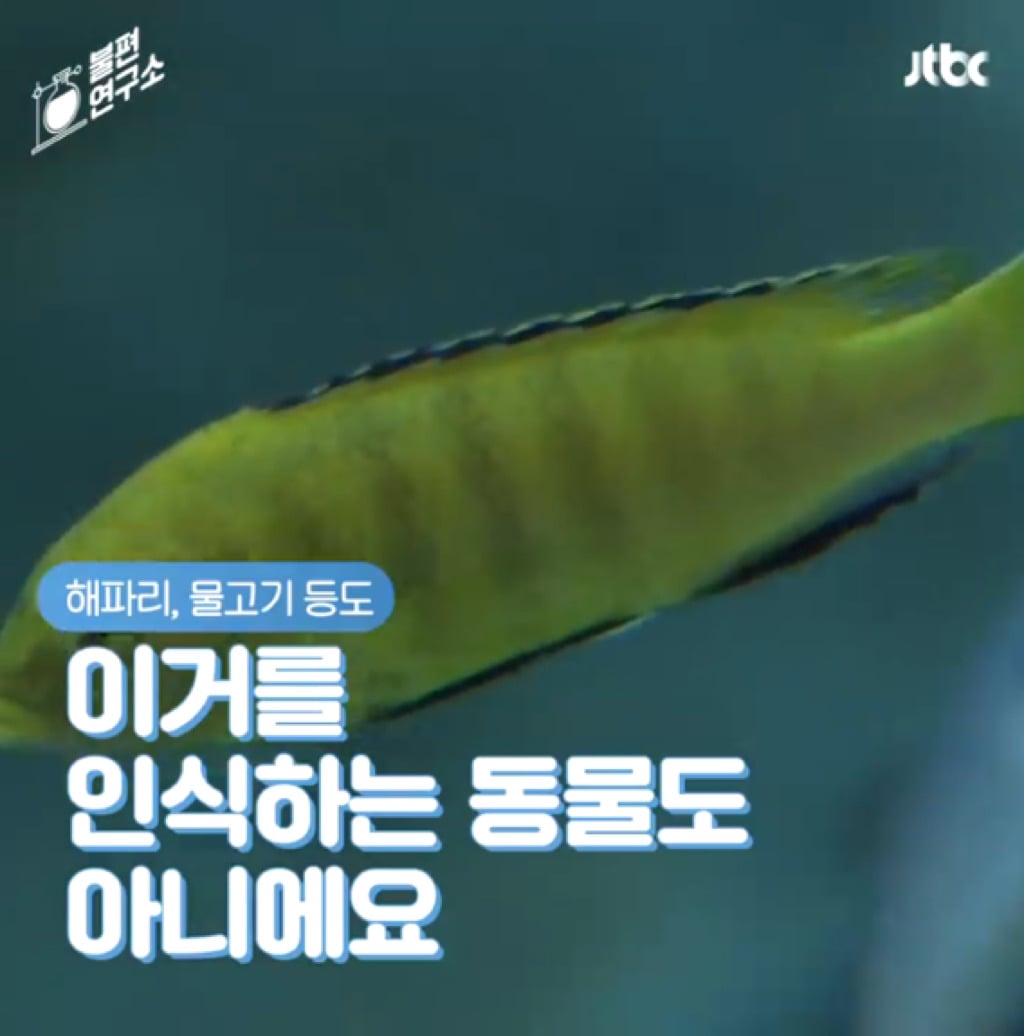 돌고래를 전시하는 수족관에 절대 가지 마세요 | 인스티즈