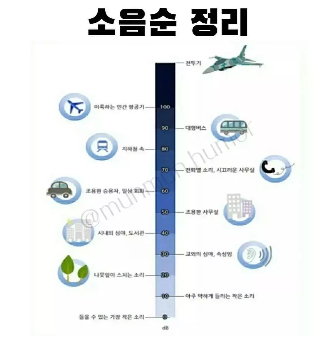 소음순 정리 | 인스티즈