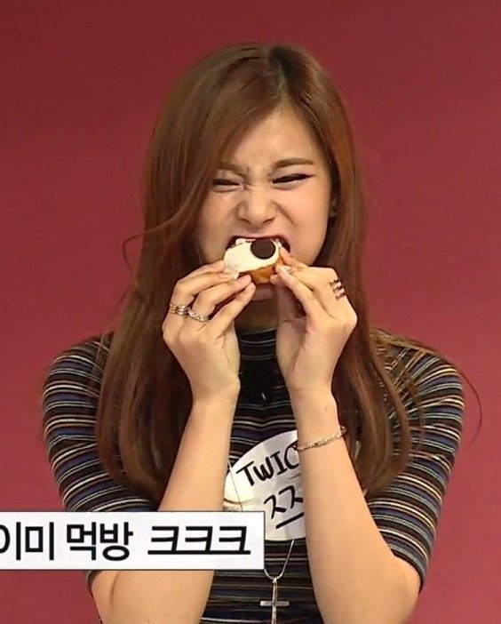 육식동물의 유전자를 가진 아이돌.jpg | 인스티즈