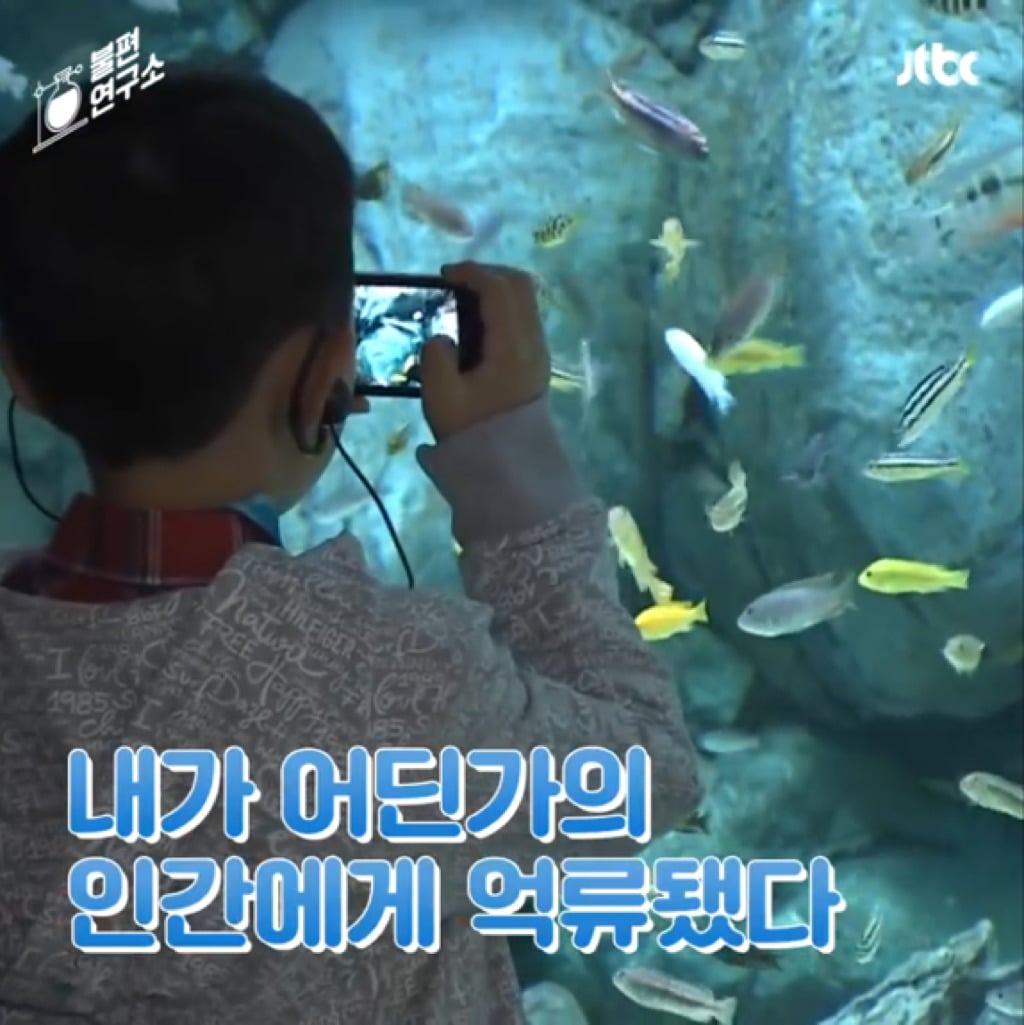 돌고래를 전시하는 수족관에 절대 가지 마세요 | 인스티즈