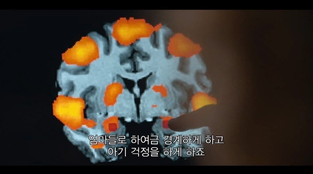 왜 엄마들이 밤에 아이 우는 소리를 잘 들을까.jpg | 인스티즈