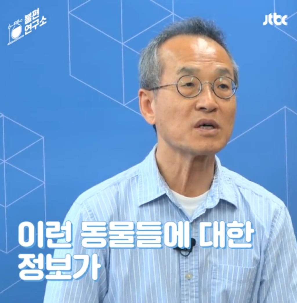 돌고래를 전시하는 수족관에 절대 가지 마세요 | 인스티즈