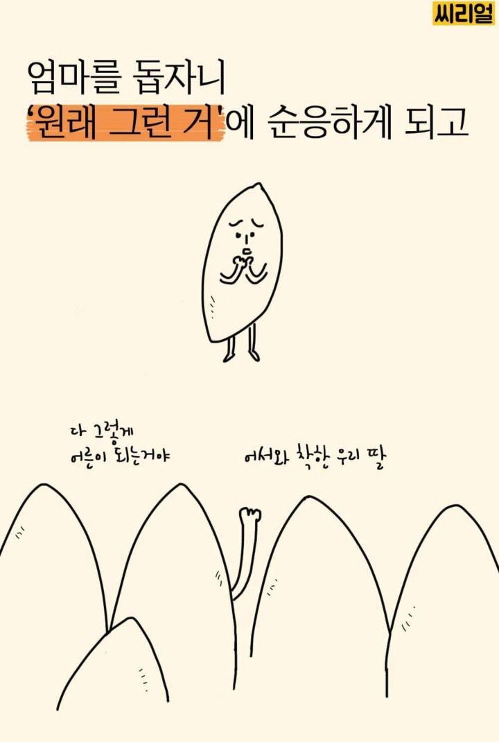 명절마다 딸들이 겪는 딜레마.jpg | 인스티즈