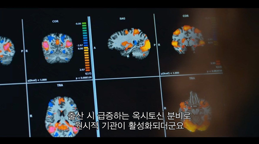 왜 엄마들이 밤에 아이 우는 소리를 잘 들을까.jpg | 인스티즈