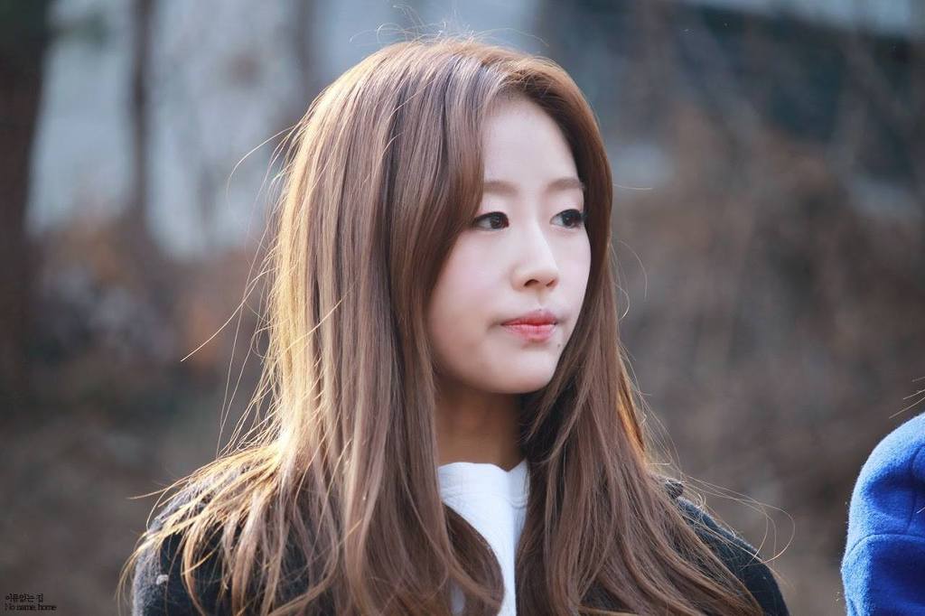 요즘 신인아이돌 무쌍 지분율.jpg | 인스티즈