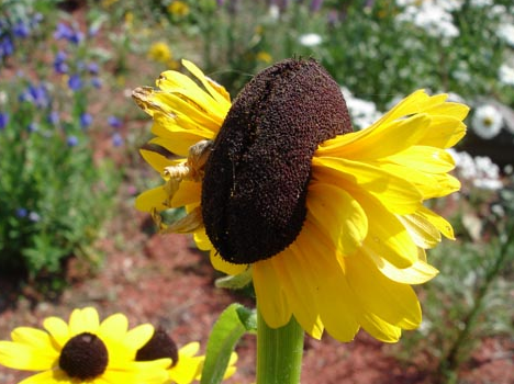핵 그리고 방사능 피해자들 | 인스티즈