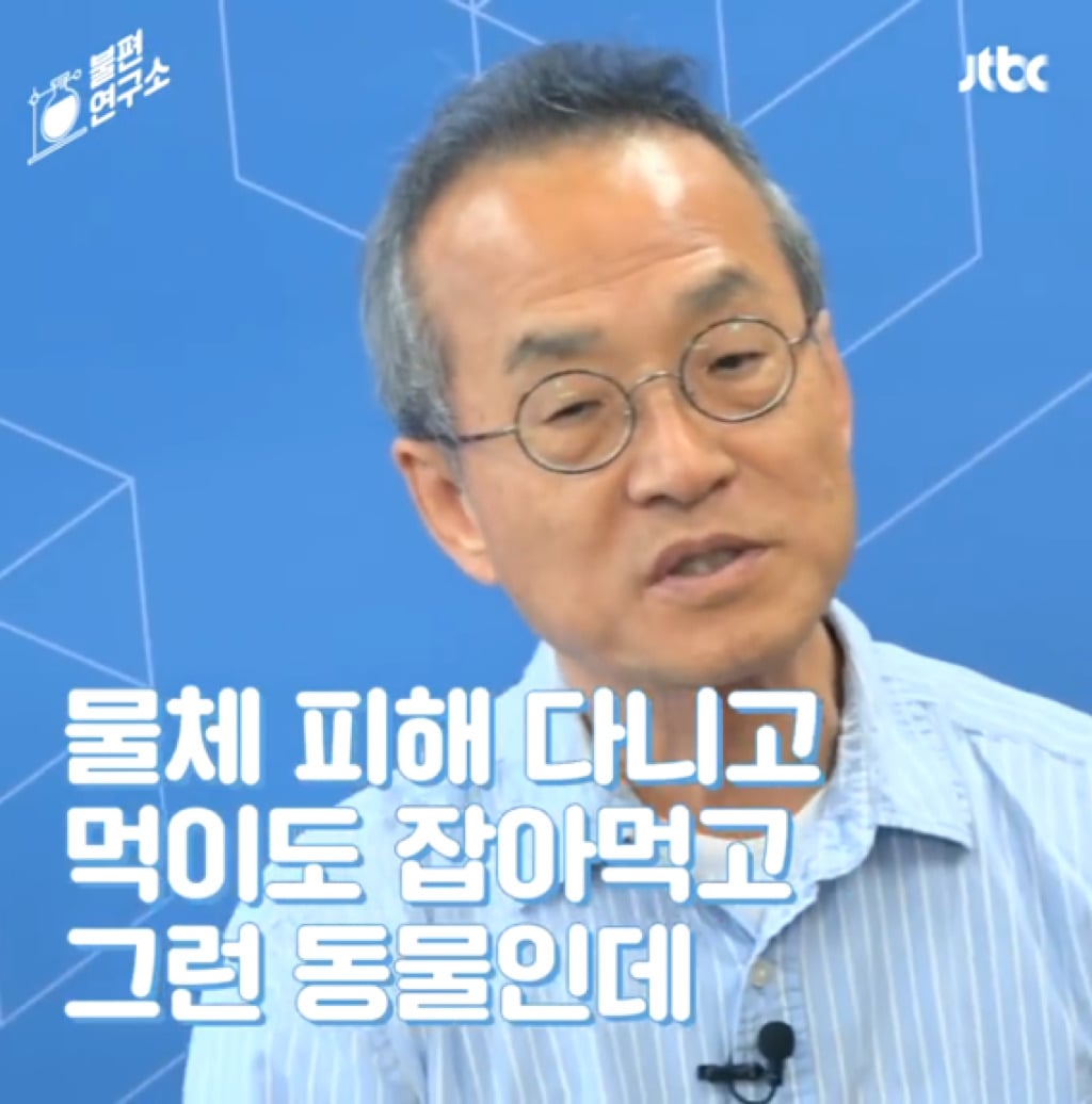 돌고래를 전시하는 수족관에 절대 가지 마세요 | 인스티즈