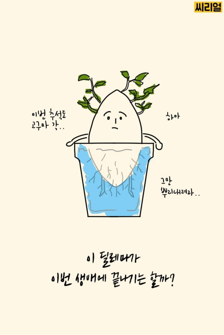 명절마다 딸들이 겪는 딜레마.jpg | 인스티즈