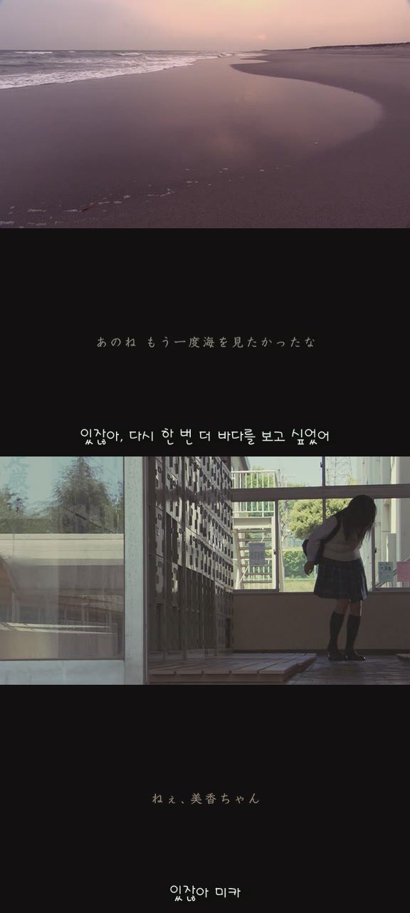 있잖아 마리모, 나 다시 개를 기르고 싶어 (마리모이야기) | 인스티즈