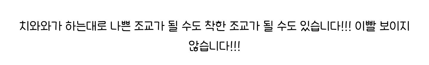 애견유치원 이름 | 인스티즈
