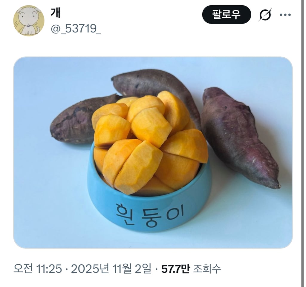 감 많이먹으면 화장실 못가요!!!!! | 인스티즈