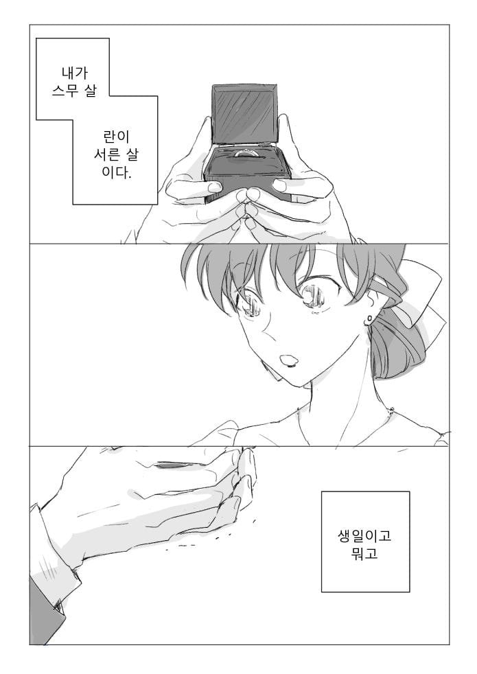 진짜 작가도 이거보단 잘 못만들것같다는 명탐정 코난 팬이 그린 결말 | 인스티즈