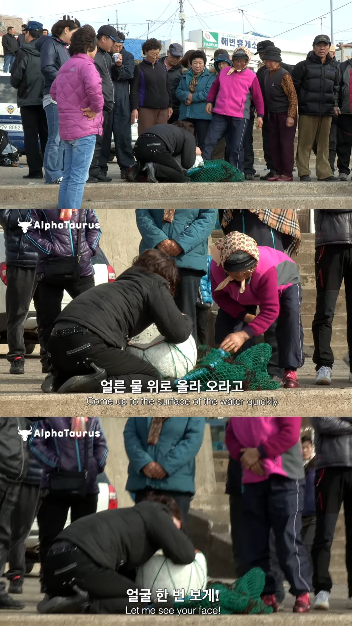 어제 들어가서 오늘까지 안 나온 제주 해녀를 찾기 위해 바다로 들어가는 해녀들.jpg | 인스티즈
