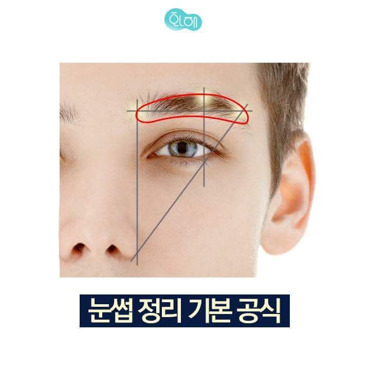 남자 눈썹 정리 가이드 | 인스티즈