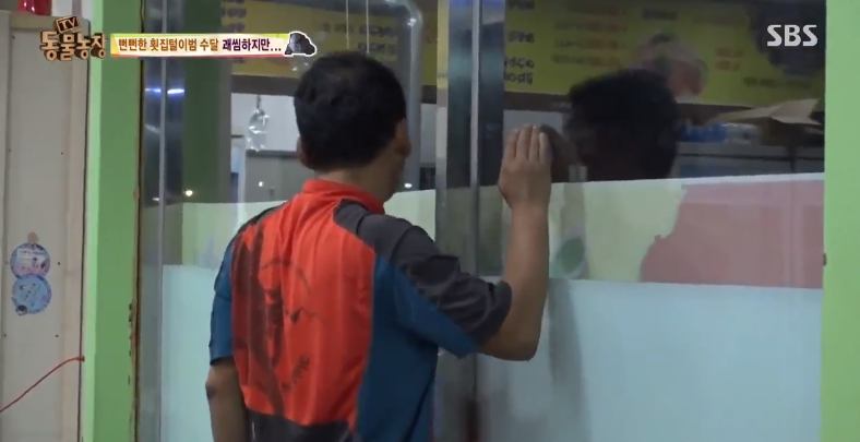 매일 생선털리는 횟집사장님 (Feat.달수) | 인스티즈