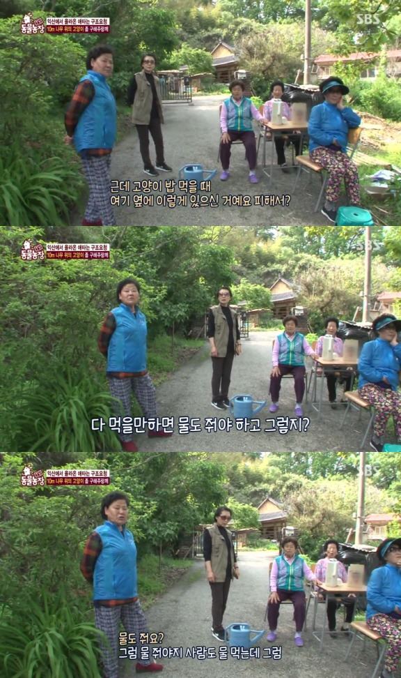 [동물농장] 10m 나무 위에 사는 고양이와 할머니들.jpg | 인스티즈