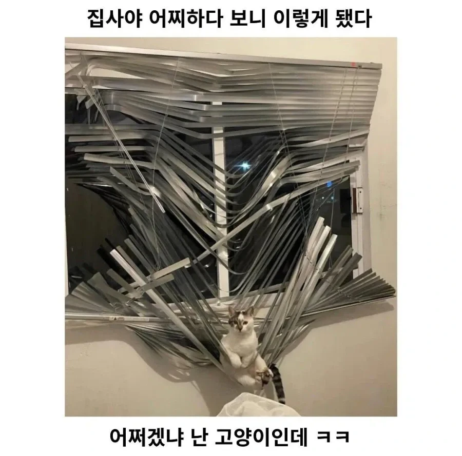 집사야, 일이 뭐 그렇게 됐다 | 인스티즈