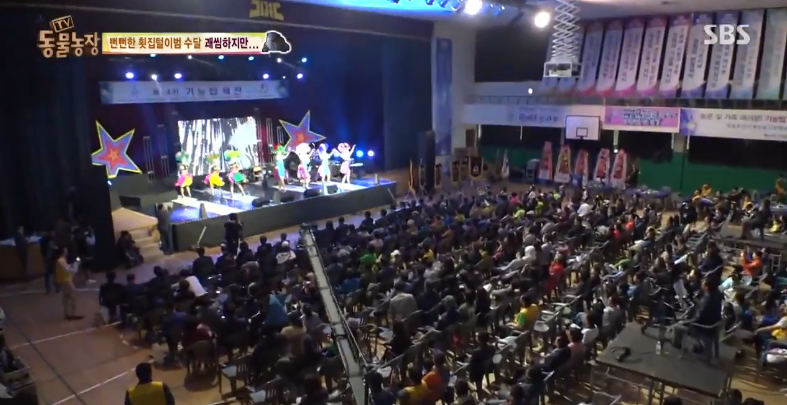 매일 생선털리는 횟집사장님 (Feat.달수) | 인스티즈