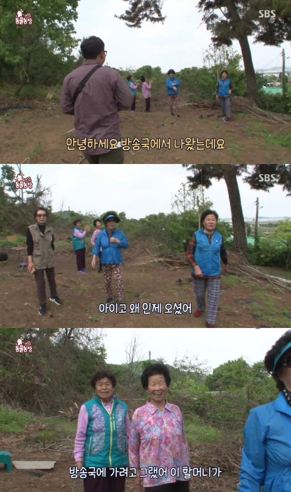 [동물농장] 10m 나무 위에 사는 고양이와 할머니들.jpg | 인스티즈
