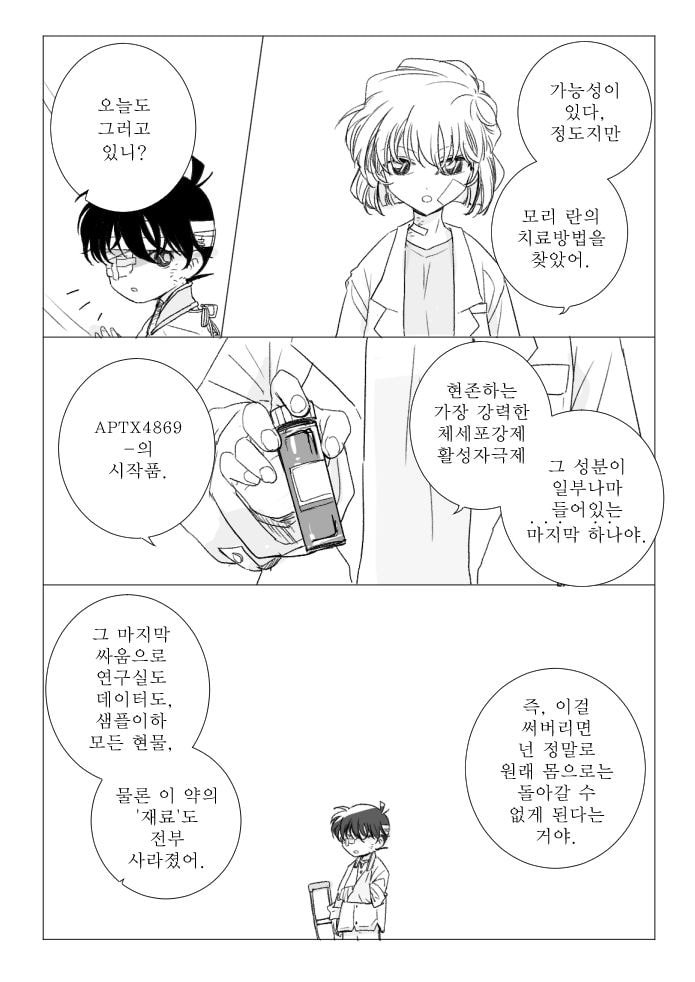 진짜 작가도 이거보단 잘 못만들것같다는 명탐정 코난 팬이 그린 결말 | 인스티즈