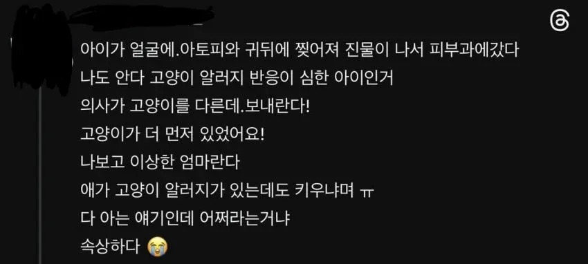 본인 아이보다 고양이가 더 중요한 엄마 | 인스티즈