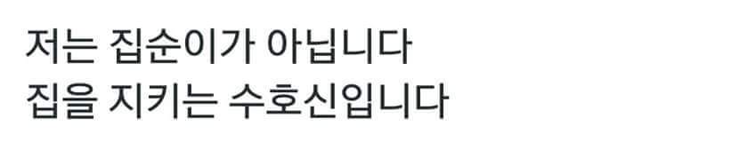 저는 집순이가 아닙니다 | 인스티즈