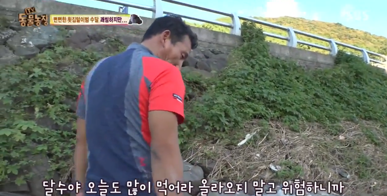 매일 생선털리는 횟집사장님 (Feat.달수) | 인스티즈