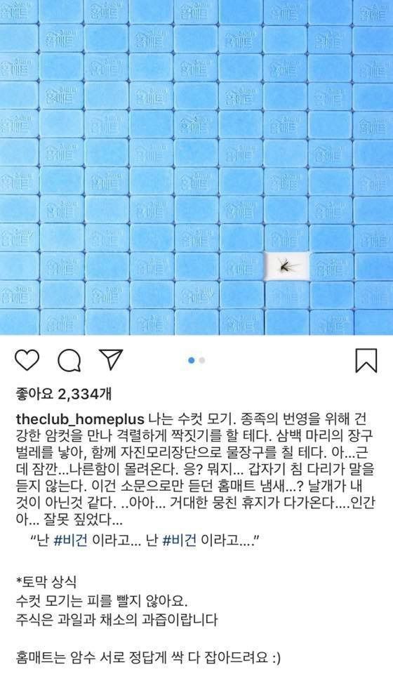 필력 미친 홈플러스더클럽 인스타그램.jpg | 인스티즈
