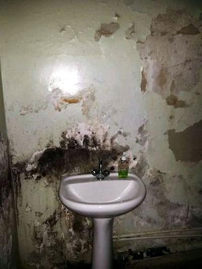  러시아의 병원 실상을 알아보겠습니다 | 인스티즈