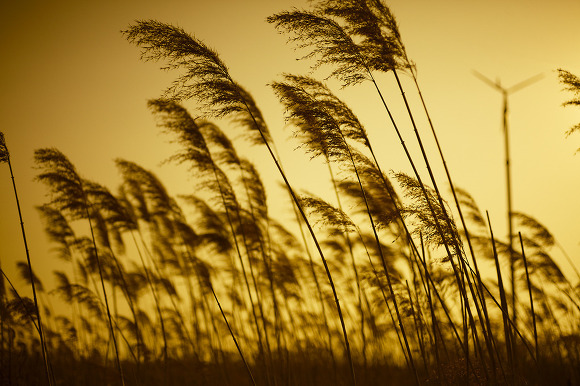 [그리스로마신화] 불륜과 근친이 난무하는 신화 속 그나마 벤츠남 에로스의 사랑, 프시케의 시월드 입성기 | 인스티즈