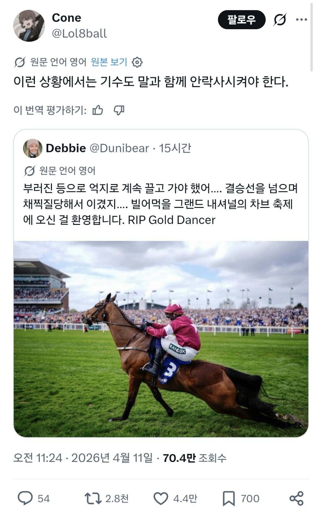 얼른 안락사 시켜 | 인스티즈