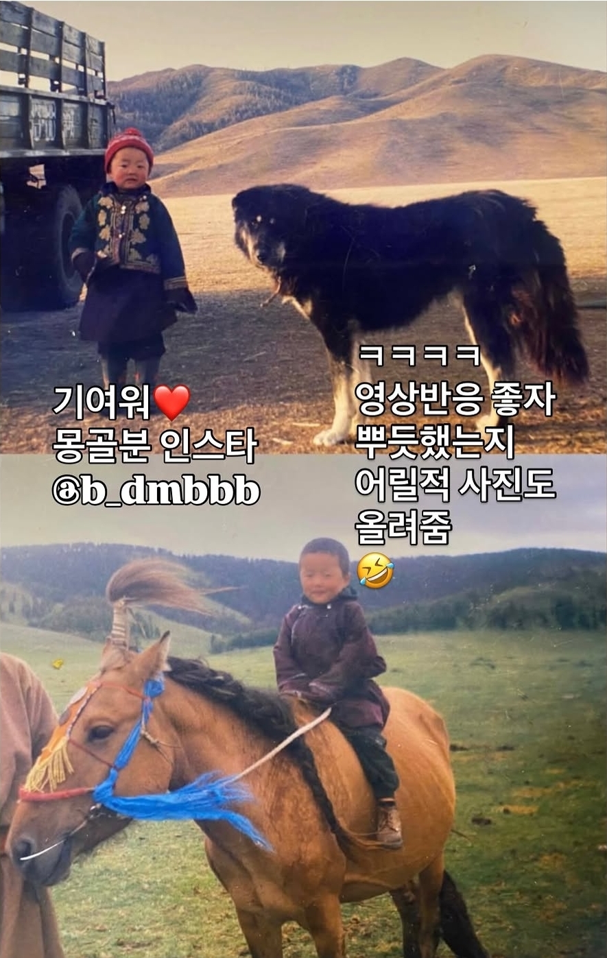 돈 내고 말타기 체험 할 수 있나요 ⋯? | 인스티즈
