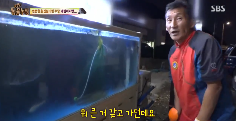 매일 생선털리는 횟집사장님 (Feat.달수) | 인스티즈