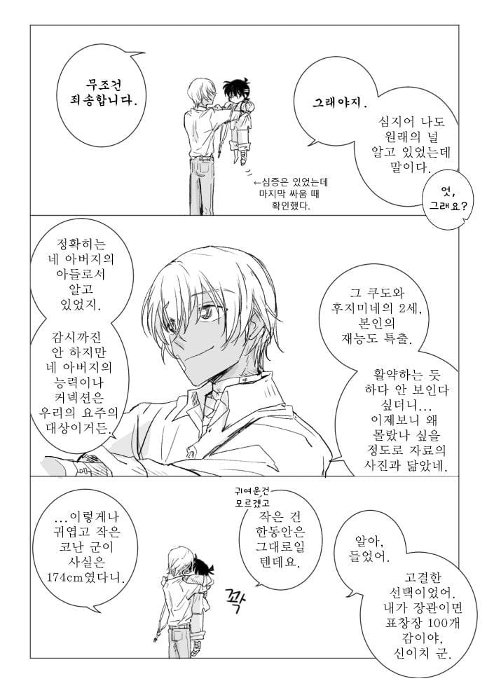 진짜 작가도 이거보단 잘 못만들것같다는 명탐정 코난 팬이 그린 결말 | 인스티즈