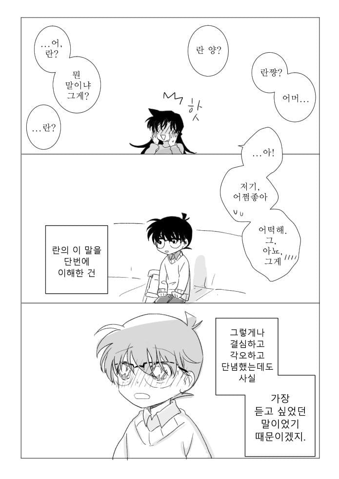진짜 작가도 이거보단 잘 못만들것같다는 명탐정 코난 팬이 그린 결말 | 인스티즈