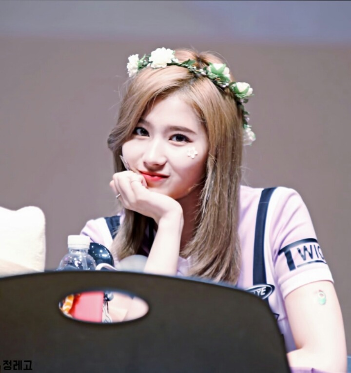 강아지상 사나.jpg | 인스티즈