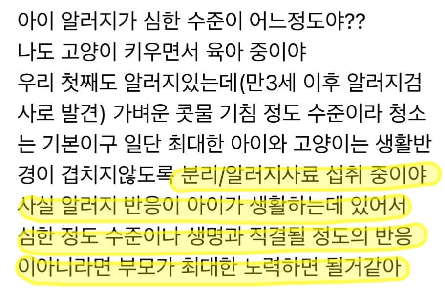 고양이 키우는데 내가 낳은 아이가 고양이 알러지 있을 때 | 인스티즈