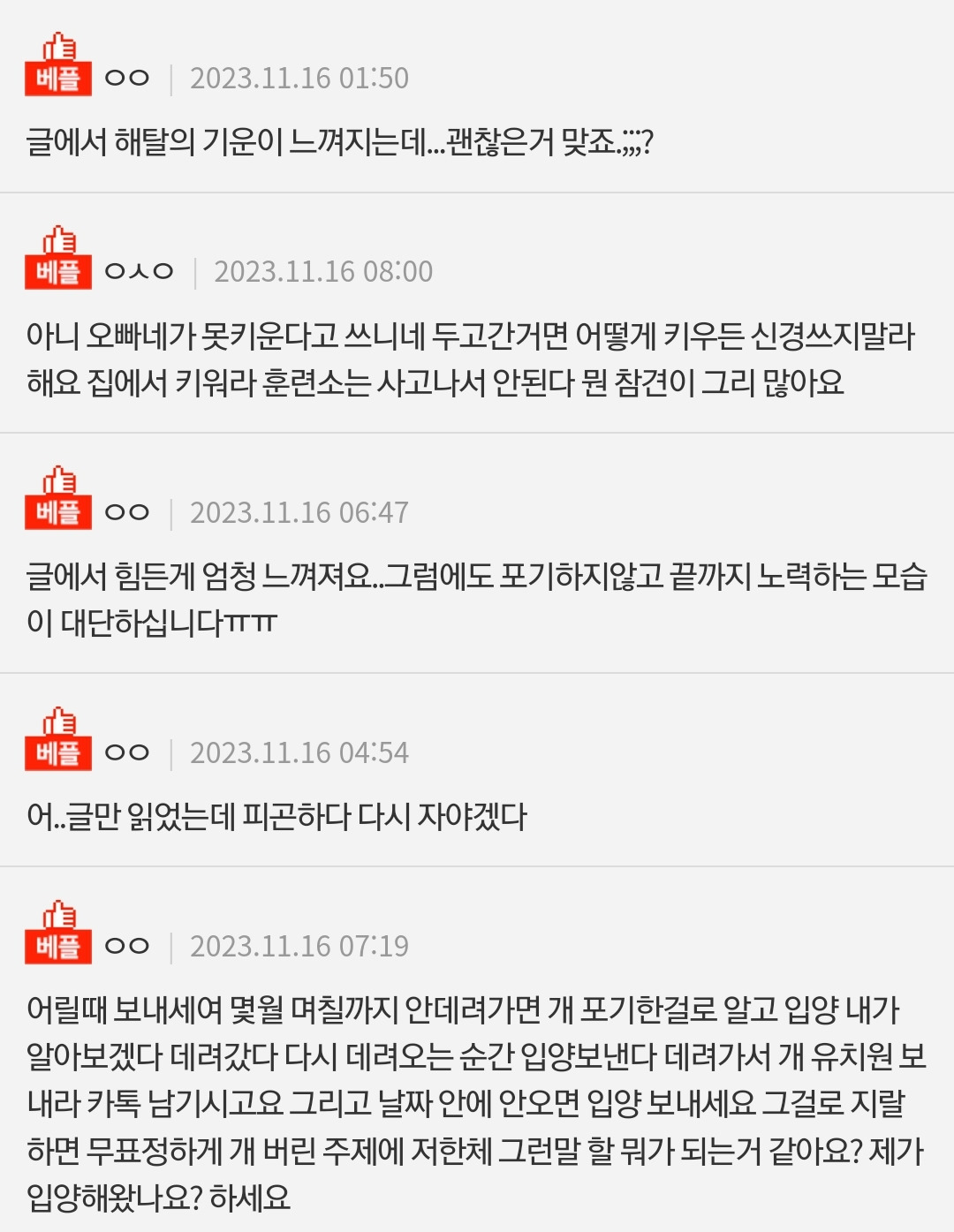 보더콜리 때문에 미쳐가는 사람입니다 | 인스티즈