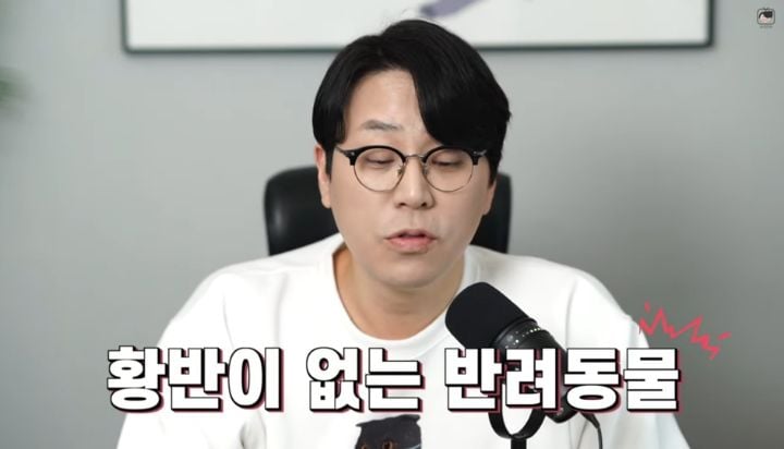 수의사가 뜯어말리는 sns 광고 반려동물 용품 | 인스티즈