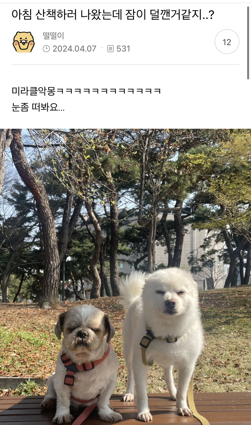 X댐! 이런 것까지 캡쳐하지 말라고! | 인스티즈