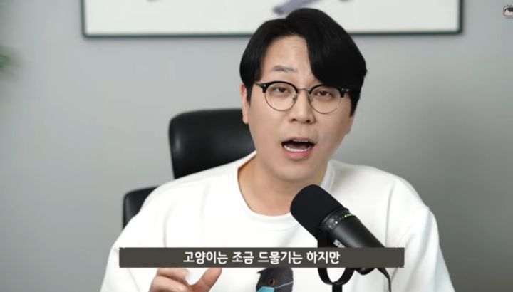 수의사가 뜯어말리는 sns 광고 반려동물 용품 | 인스티즈